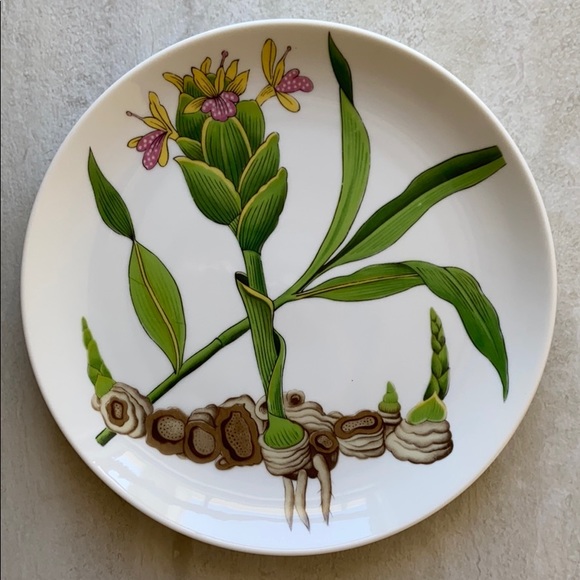 Vintage Horchow Botanical Herb and Seeds plates - Picture 3 of 8